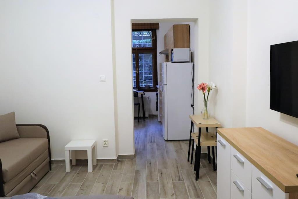 卡罗维发利Apartman Vishegrad公寓 外观 照片